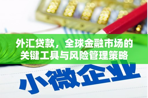 昌吉外汇贷款，全球金融市场的关键工具与风险管理策略