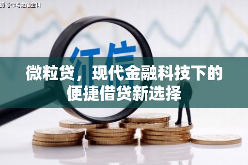 昌吉微粒贷，现代金融科技下的便捷借贷新选择