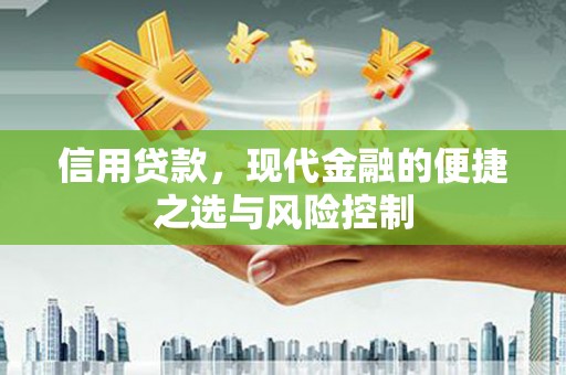 昌吉信用贷款，现代金融的便捷之选与风险控制
