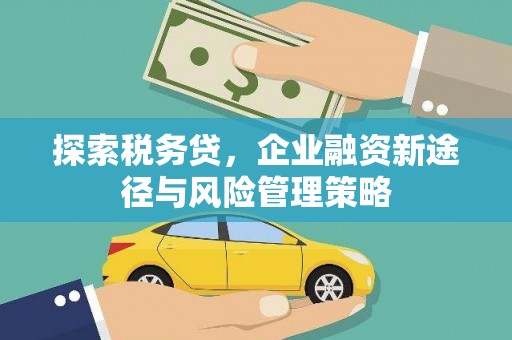 昌吉探索税务贷，企业融资新途径与风险管理策略