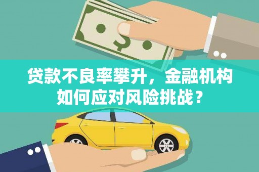 昌吉贷款不良率攀升，金融机构如何应对风险挑战？