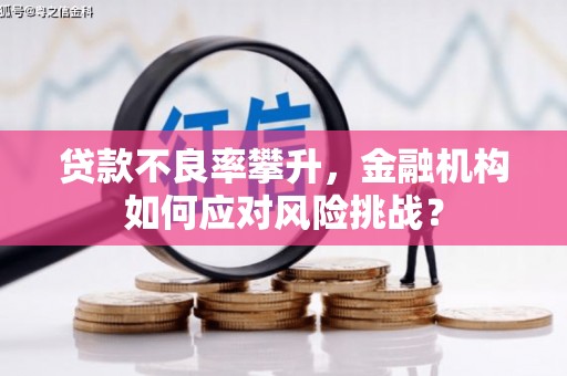 昌吉贷款不良率攀升，金融机构如何应对风险挑战？