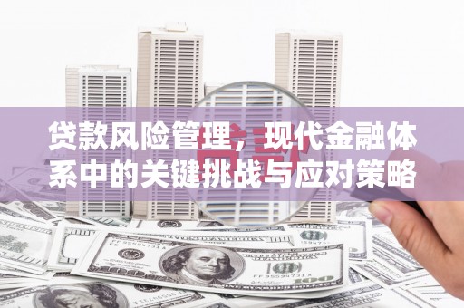 昌吉贷款风险管理，现代金融体系中的关键挑战与应对策略