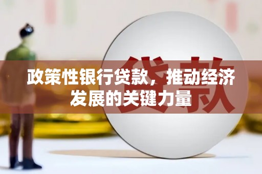 昌吉政策性银行贷款，推动经济发展的关键力量