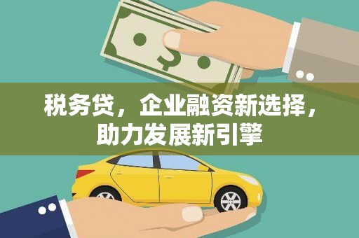 昌吉税务贷，企业融资新选择，助力发展新引擎