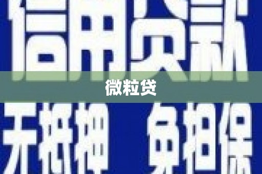 昌吉微粒贷