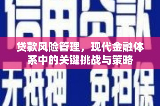 昌吉贷款风险管理，现代金融体系中的关键挑战与策略