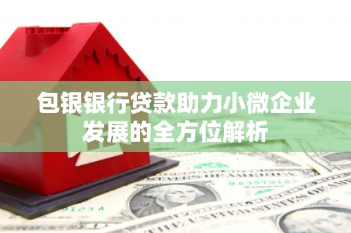 昌吉包银银行贷款助力小微企业发展的全方位解析