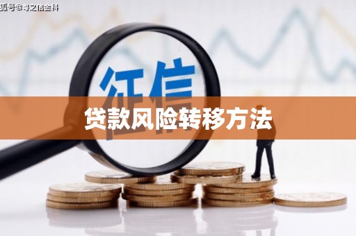 昌吉贷款风险转移方法