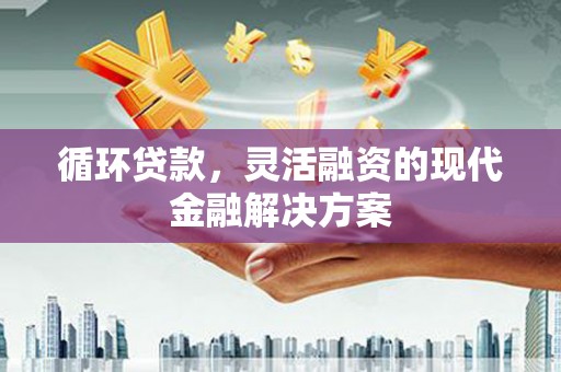 昌吉循环贷款，灵活融资的现代金融解决方案