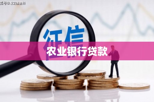 昌吉农业银行贷款