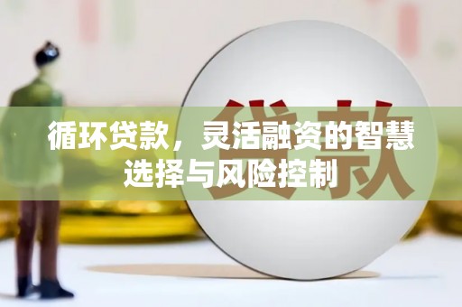 昌吉循环贷款，灵活融资的智慧选择与风险控制