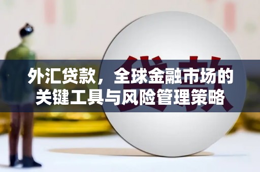 昌吉外汇贷款，全球金融市场的关键工具与风险管理策略