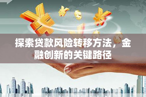 昌吉探索贷款风险转移方法，金融创新的关键路径