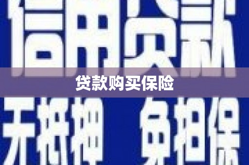 昌吉贷款购买保险