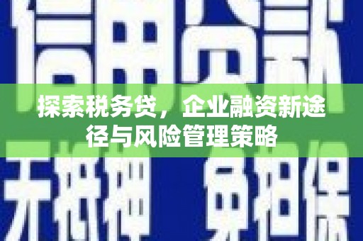 昌吉探索税务贷，企业融资新途径与风险管理策略