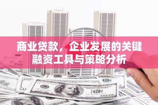 昌吉商业贷款，企业发展的关键融资工具与策略分析