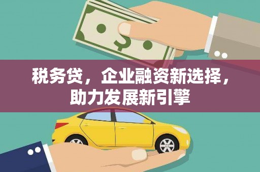 昌吉税务贷，企业融资新选择，助力发展新引擎