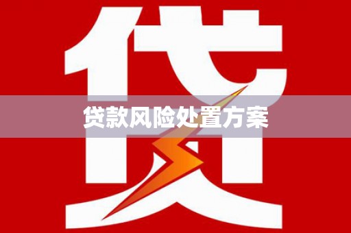 昌吉贷款风险处置方案