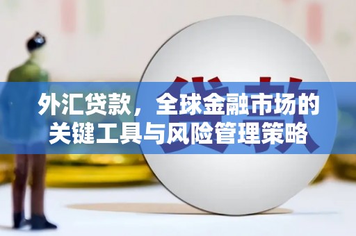 昌吉外汇贷款，全球金融市场的关键工具与风险管理策略