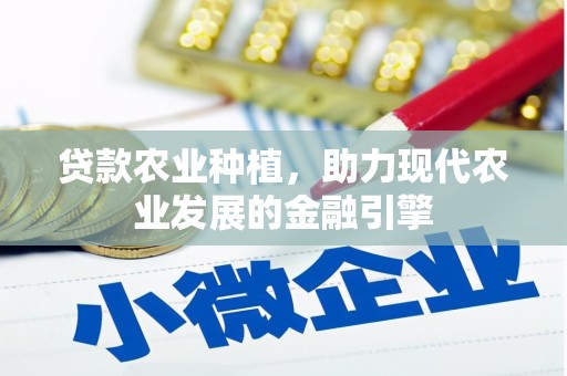昌吉贷款农业种植，助力现代农业发展的金融引擎