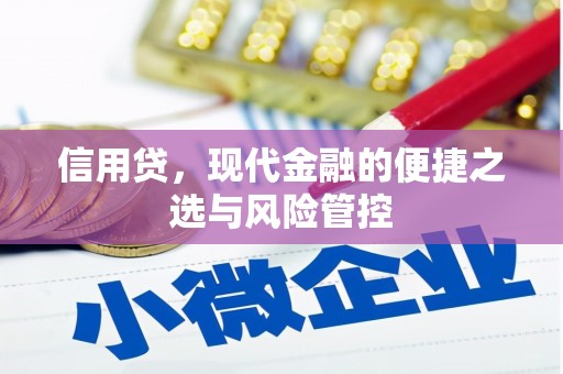 昌吉信用贷，现代金融的便捷之选与风险管控