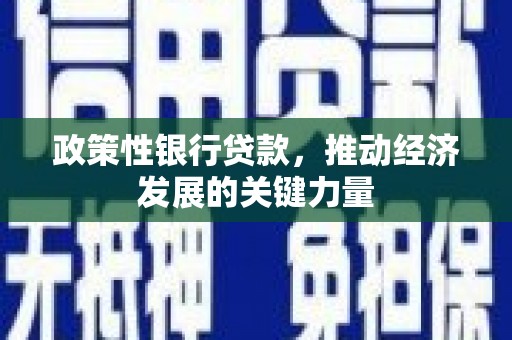 昌吉政策性银行贷款，推动经济发展的关键力量