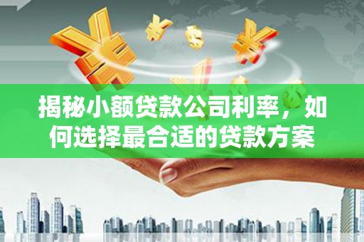 昌吉揭秘小额贷款公司利率，如何选择最合适的贷款方案
