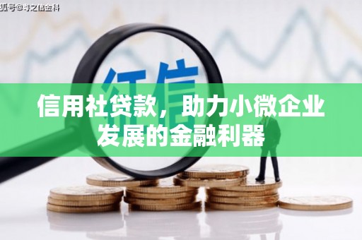 昌吉信用社贷款，助力小微企业发展的金融利器