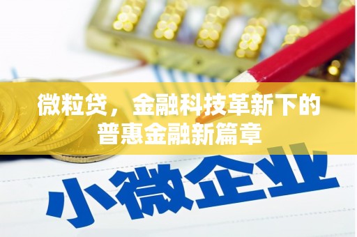 昌吉微粒贷，金融科技革新下的普惠金融新篇章