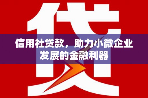 昌吉信用社贷款，助力小微企业发展的金融利器