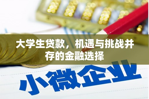 昌吉大学生贷款，机遇与挑战并存的金融选择