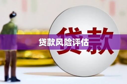 昌吉贷款风险评估