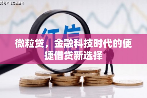 昌吉微粒贷，金融科技时代的便捷借贷新选择