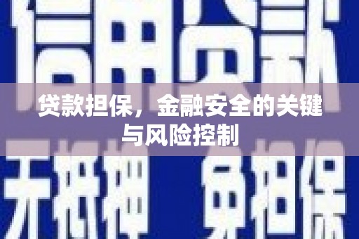 昌吉贷款担保，金融安全的关键与风险控制