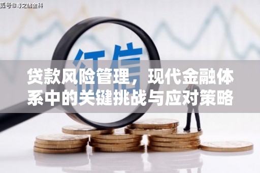 昌吉贷款风险管理，现代金融体系中的关键挑战与应对策略