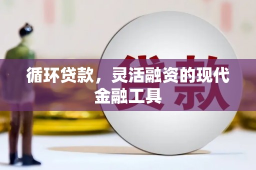 昌吉循环贷款，灵活融资的现代金融工具