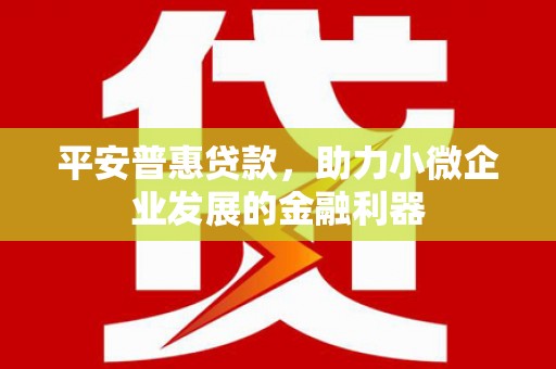 昌吉平安普惠贷款，助力小微企业发展的金融利器