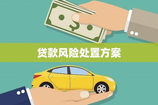 昌吉贷款风险处置方案